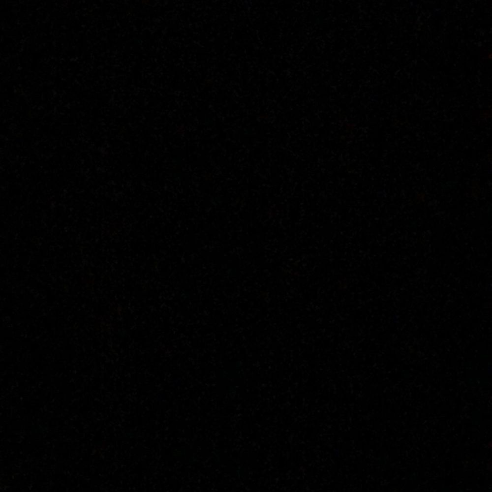 Meet your Posher, Raegan